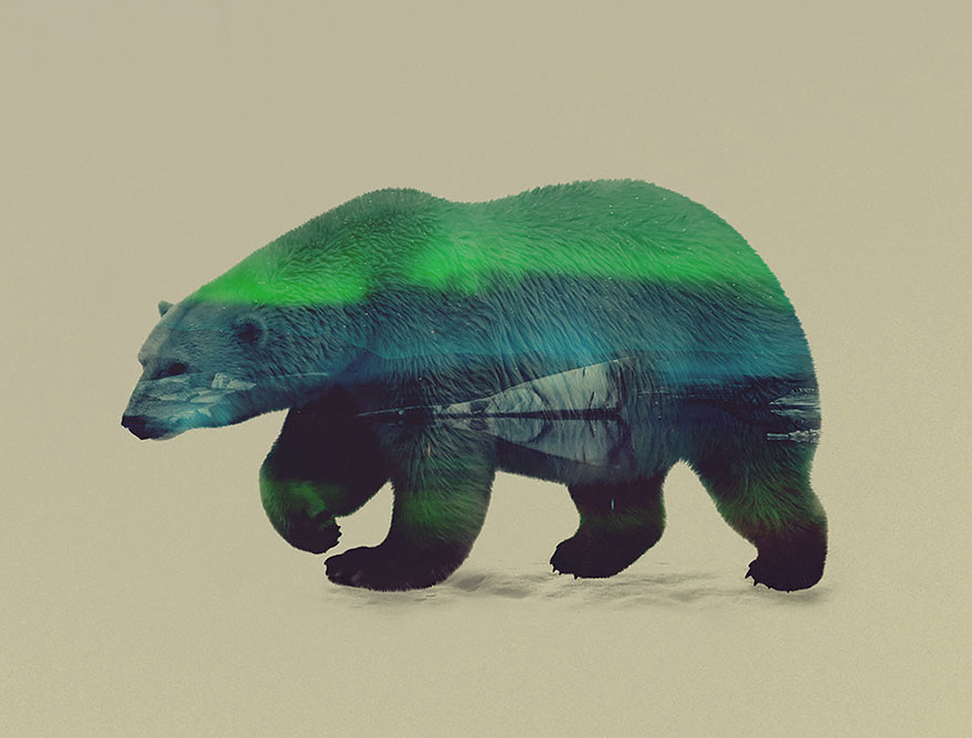 double-exposure-animal-photography-Andreas Lie doble exposicion9