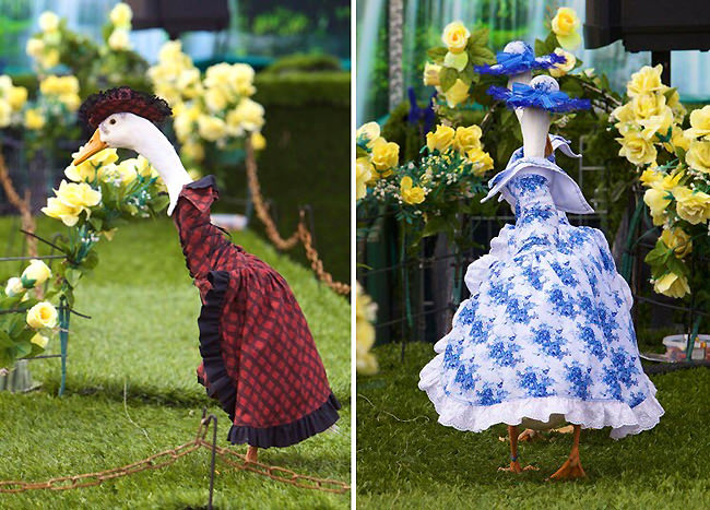 duck pato disfraz desfile3