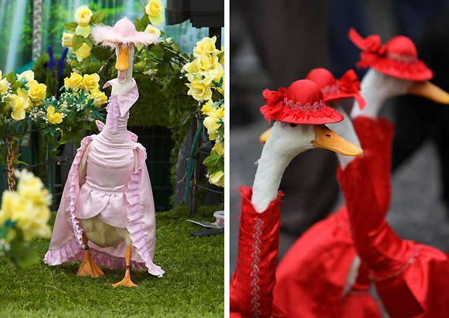 duck pato disfraz desfile4