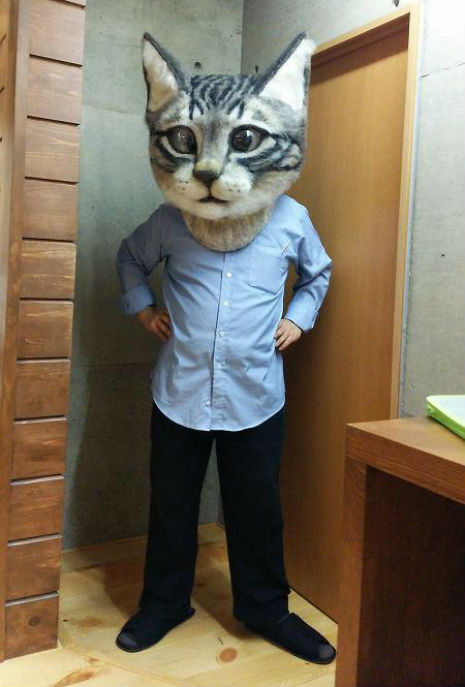 gato cat Cultura Inquieta