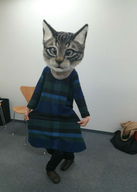 gato cat Cultura Inquieta1