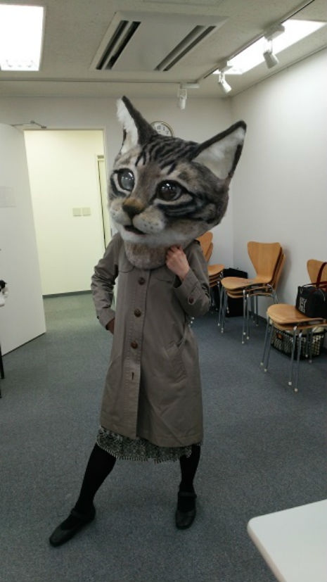 gato cat Cultura Inquieta3