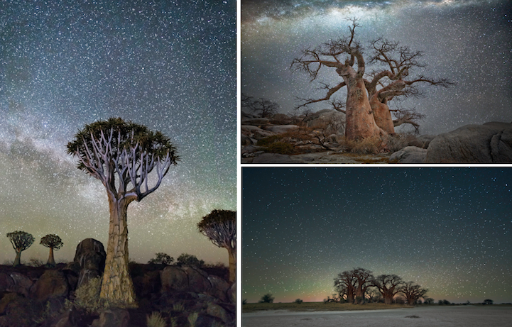 Beth Moon Diamond Nights Cultura Inquieta
