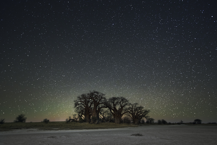 Beth Moon Diamond Nights Cultura Inquieta11