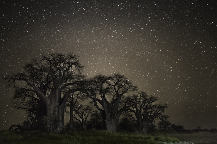Beth Moon Diamond Nights Cultura Inquieta13