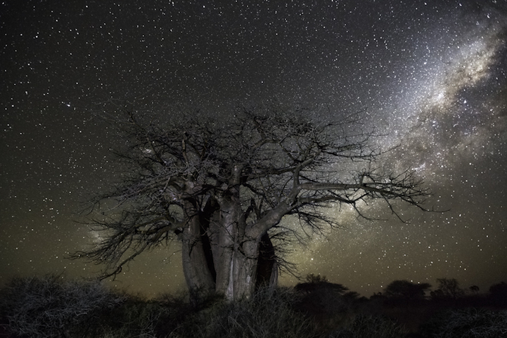 Beth Moon Diamond Nights Cultura Inquieta5