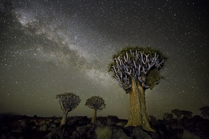 Beth Moon Diamond Nights Cultura Inquieta6