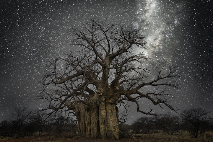 Beth Moon Diamond Nights Cultura Inquieta9