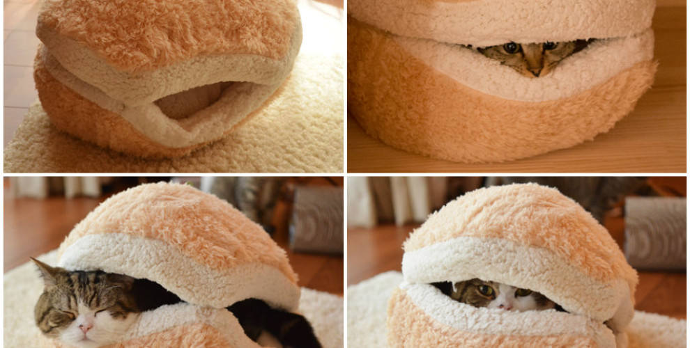 Fluffy Cat Hideout gato esponjoso