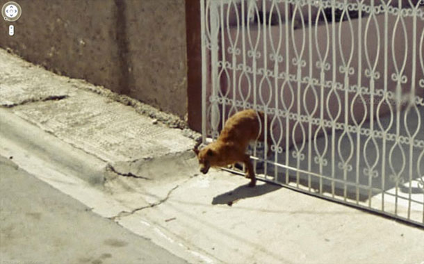 Google photos fotos street Cultura Inquieta20