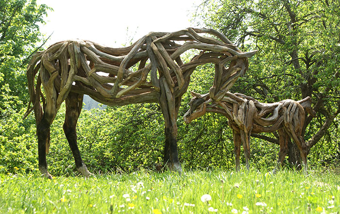 Heather Jansch horse caballo2