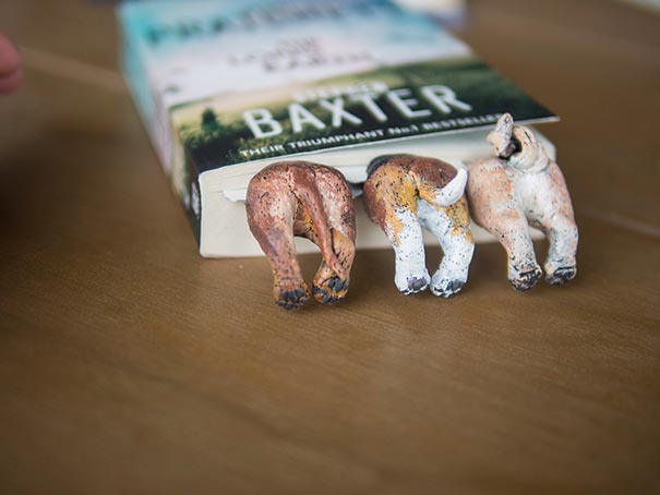 Olena Mysnyk separapagina bookmark6