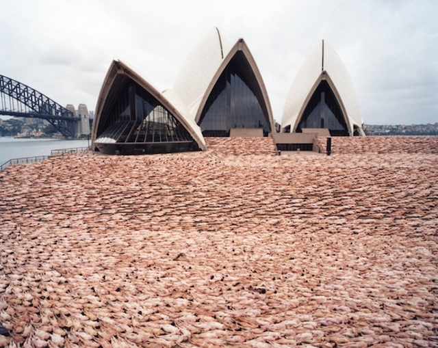 Fotografía de Spencer Tunick en una de sus instalaciones.