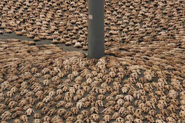 Fotografía de Spencer Tunick en una de sus instalaciones.