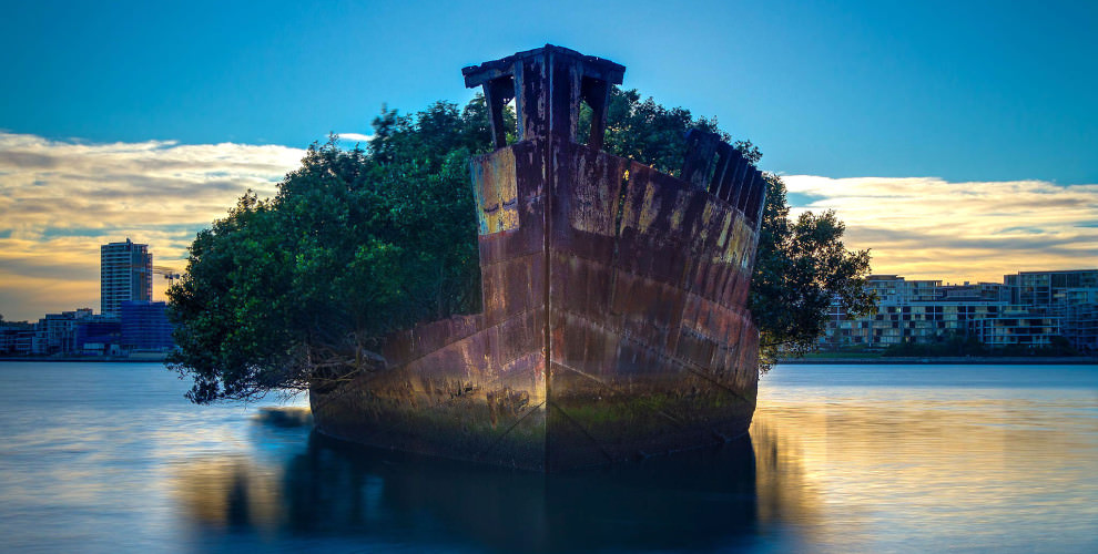 barco bosque mar Cultura Inquieta