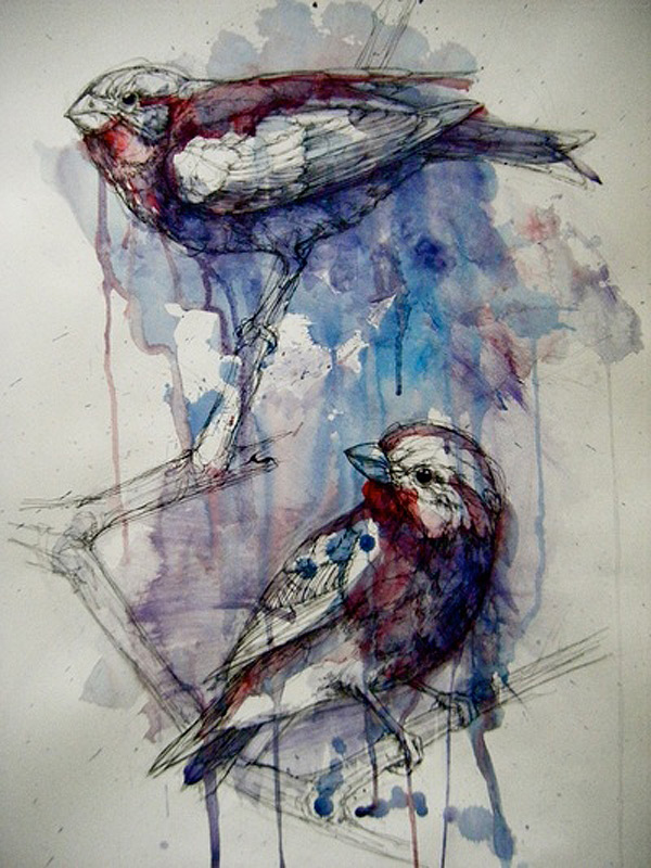 Abby Diamond acuarela watercolor3