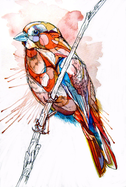 Abby Diamond acuarela watercolor8