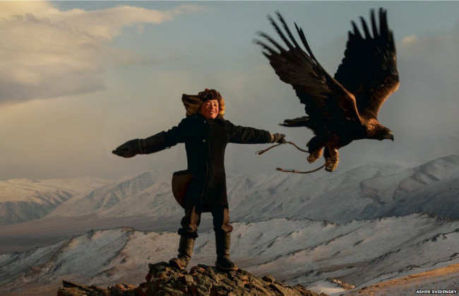 Asher Svidensky aguila eagle2