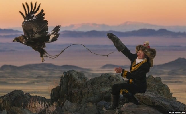 Asher Svidensky aguila eagle3