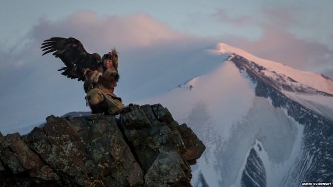 Asher Svidensky aguila eagle4