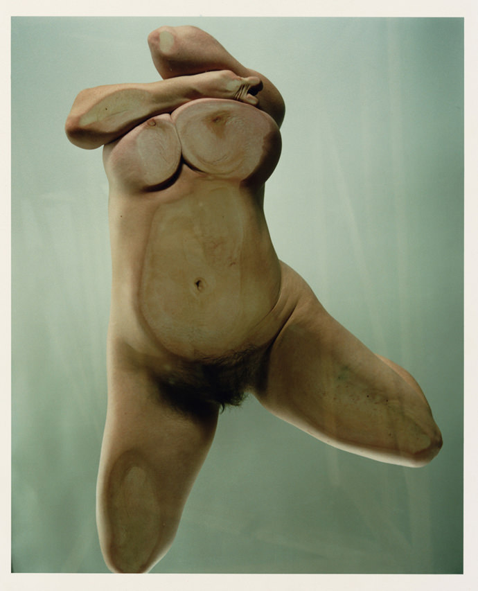 Closed Contact Jenny Saville Cultura Inquieta