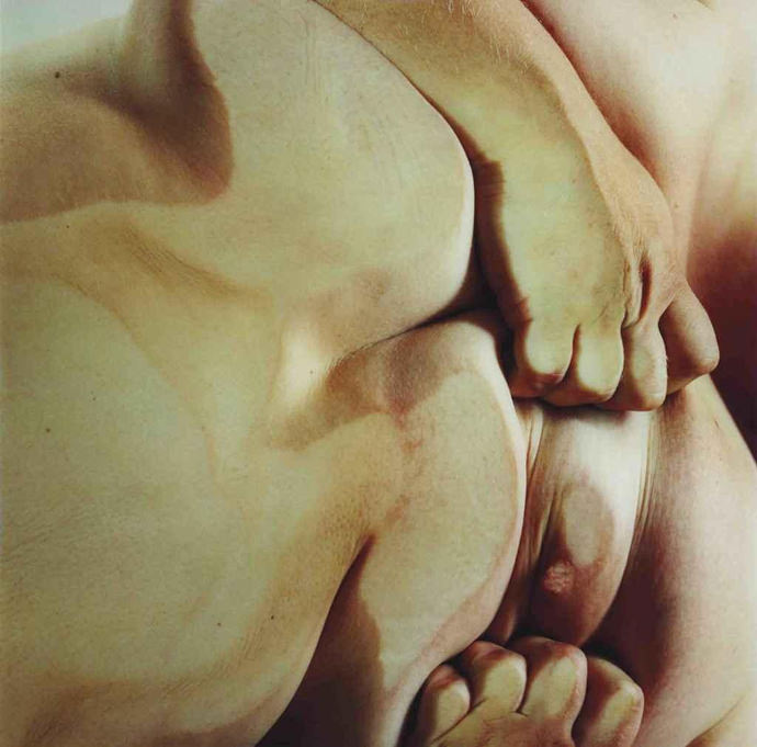 Closed Contact Jenny Saville Cultura Inquieta2