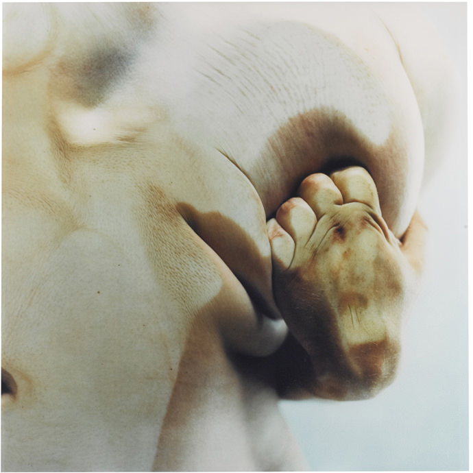 Closed Contact Jenny Saville Cultura Inquieta3