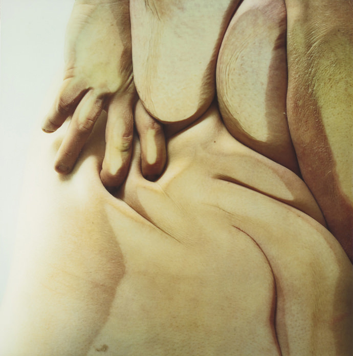 Closed Contact Jenny Saville Cultura Inquieta5