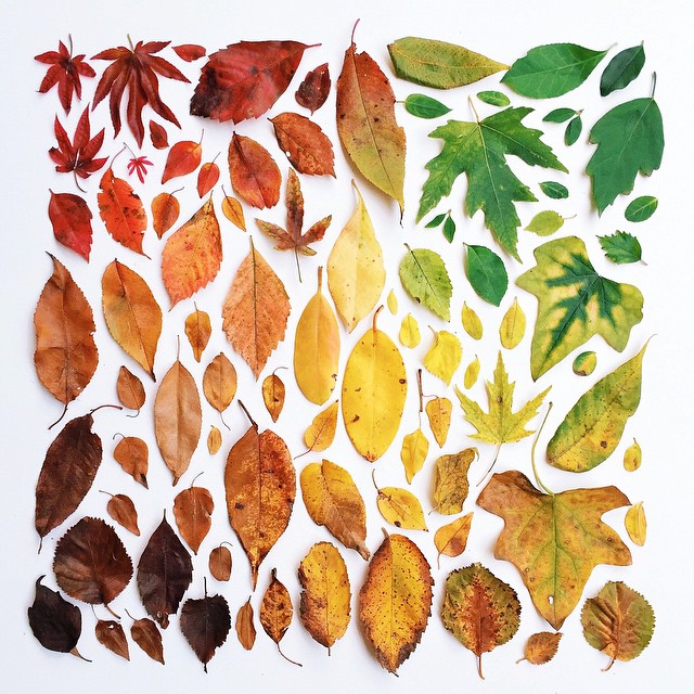 Emily Blincoe Cultura Inquieta16