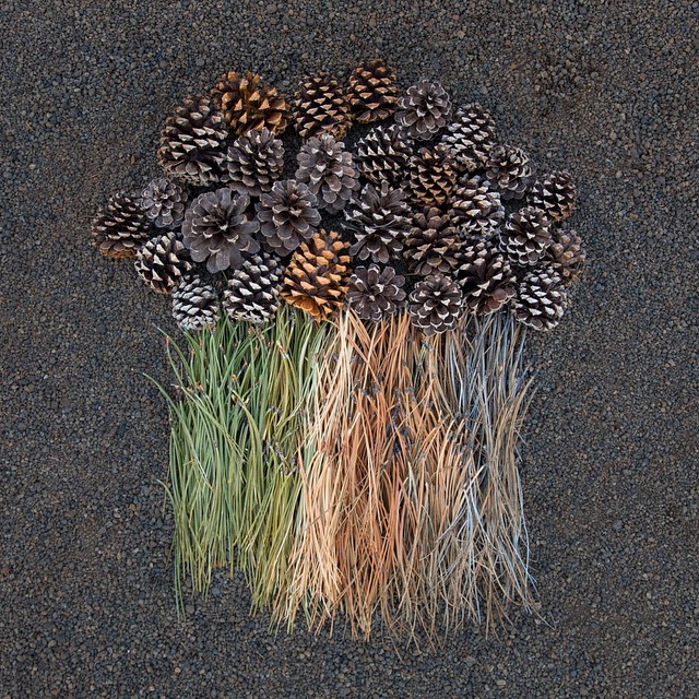 Emily Blincoe Cultura Inquieta17