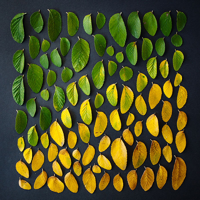 Emily Blincoe Cultura Inquieta6