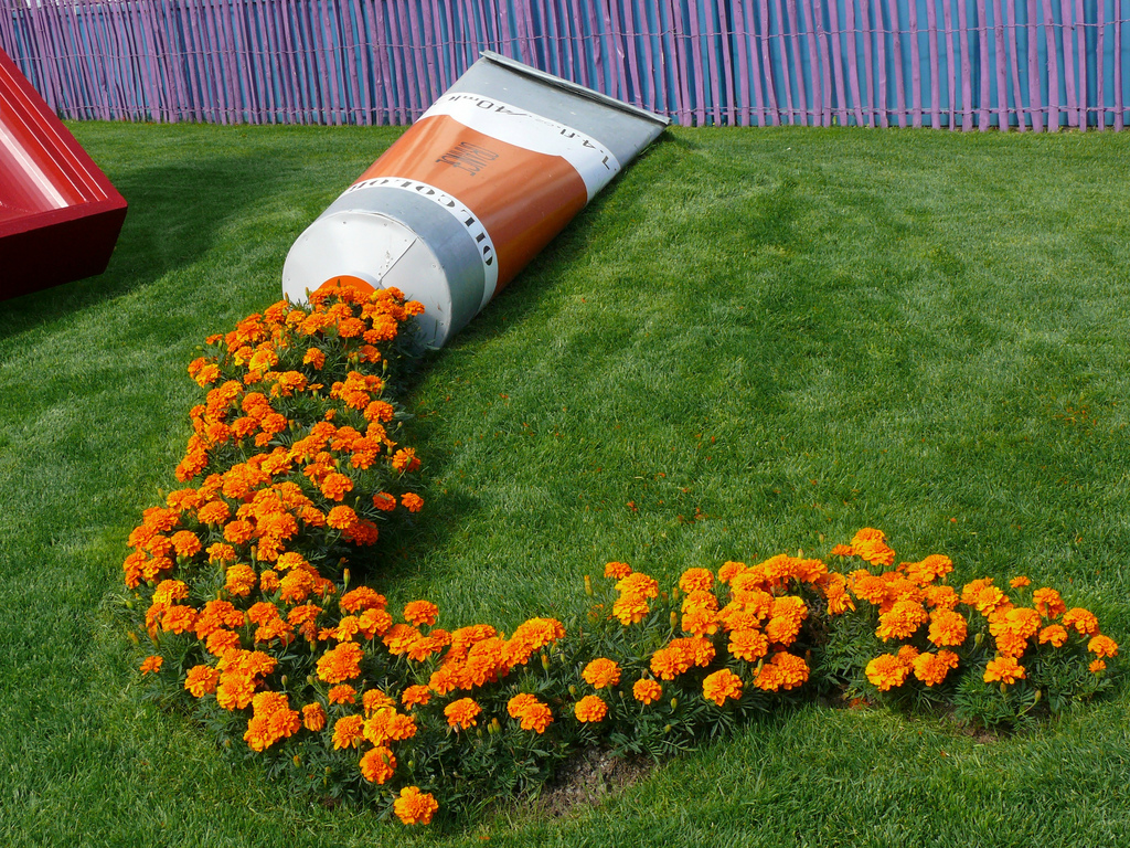 Steve Hughes calenduas Marigolds