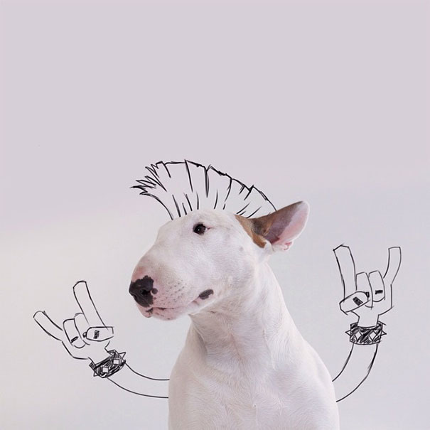 bull terrier ilustraciones humor