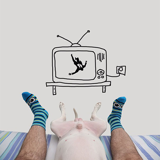 bull terrier ilustraciones humor10