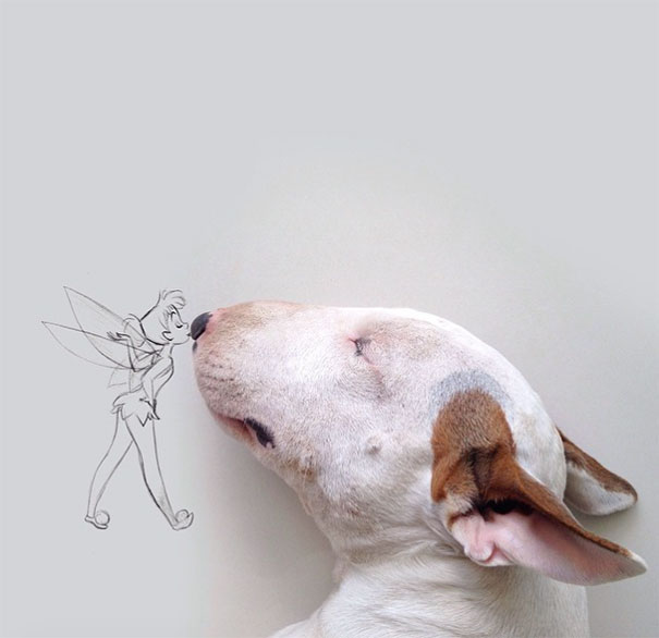 bull terrier ilustraciones humor11