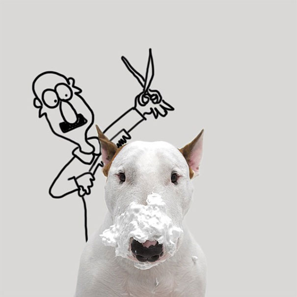 bull terrier ilustraciones humor14
