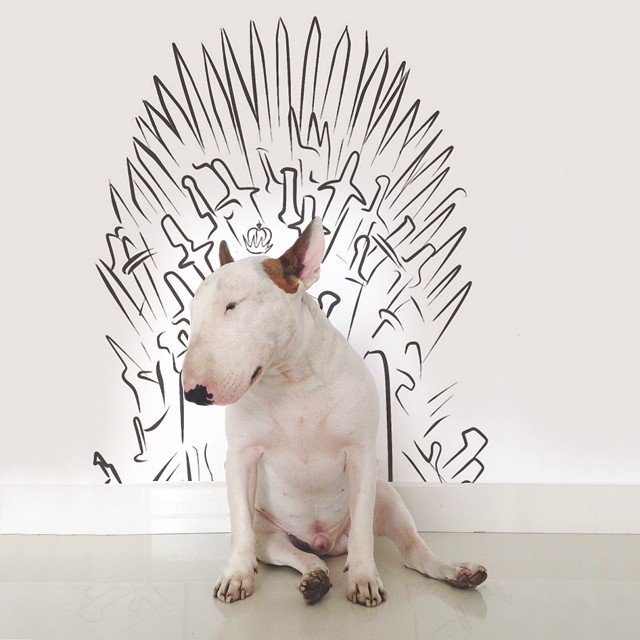 bull terrier ilustraciones humor16