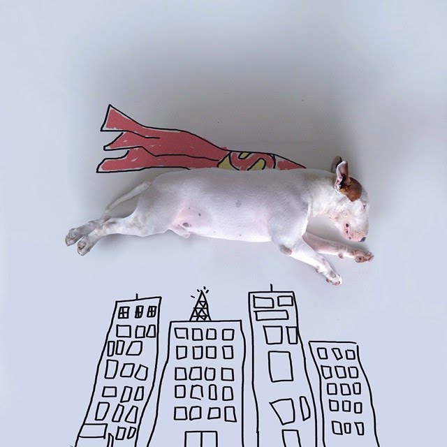 bull terrier ilustraciones humor18