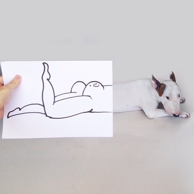 bull terrier ilustraciones humor19