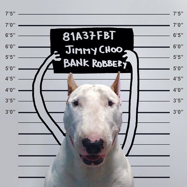 bull terrier ilustraciones humor20