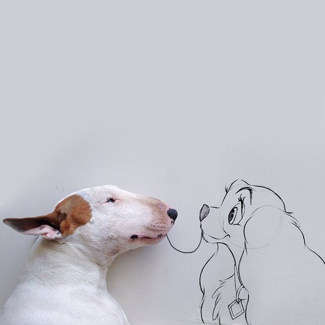 bull terrier ilustraciones humor21