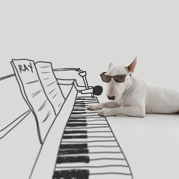 bull terrier ilustraciones humor7