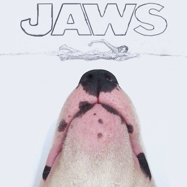 bull terrier ilustraciones humor8