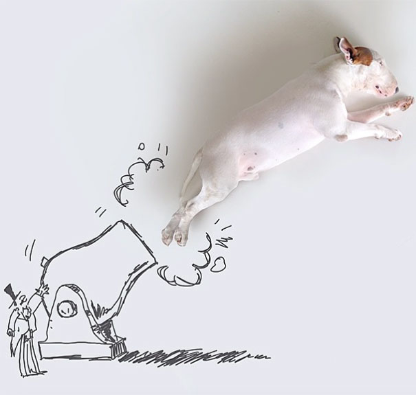 bull terrier ilustraciones humor9