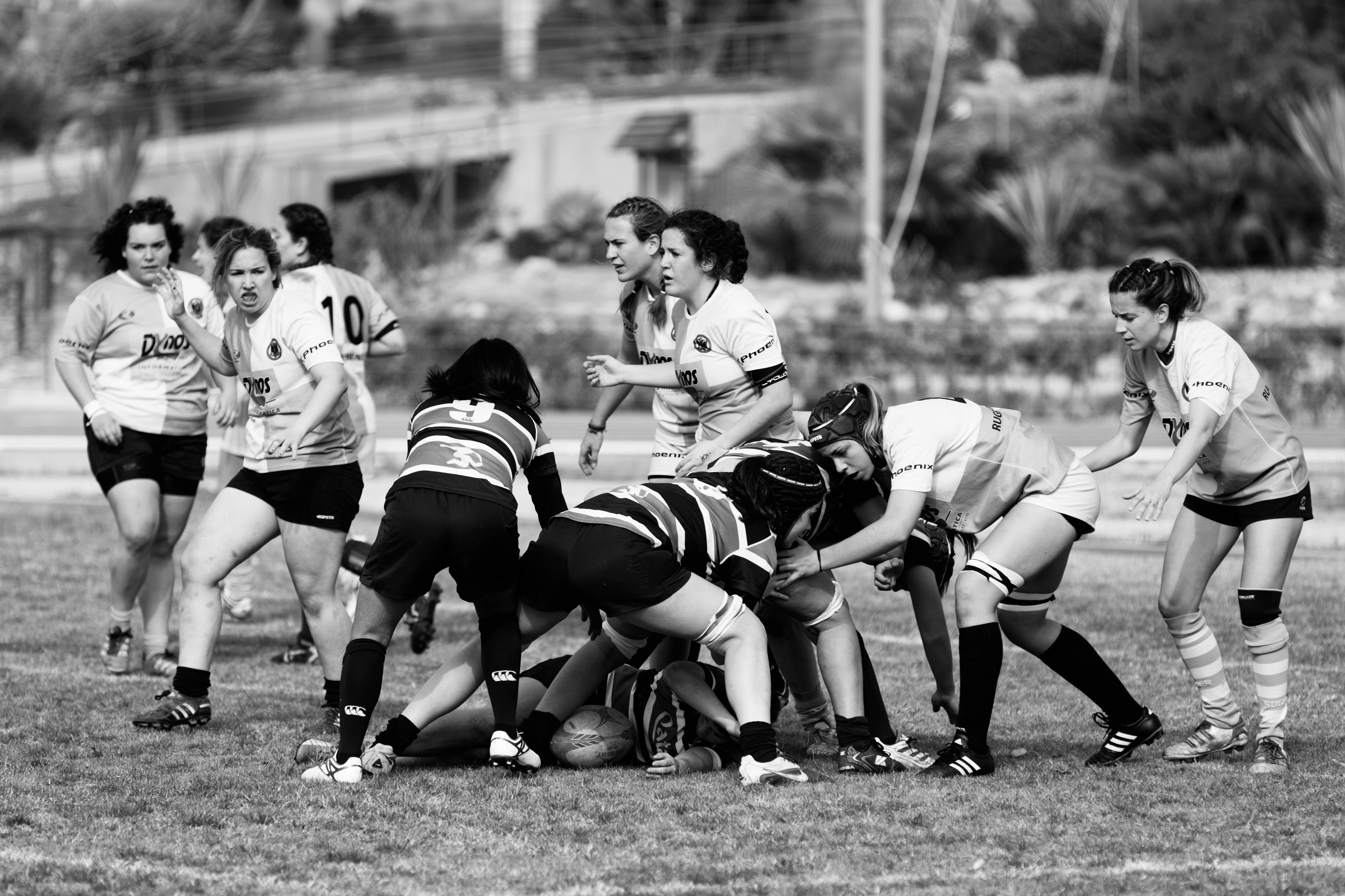 quino al 0Qv6PeKQcuA unsplash