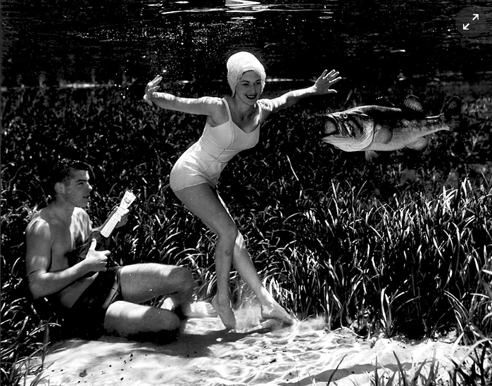 Bruce Mozert agua subacuatico Cultura Inquieta11