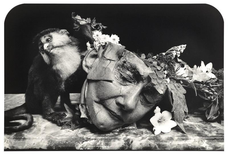 Joel Peter Witkin controvertido11