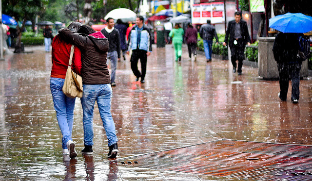 Reforma Zona Rosa Mexico City in the rain