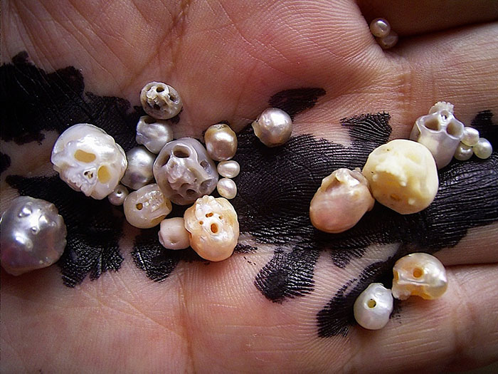 Shinji Nakaba perla calavera11