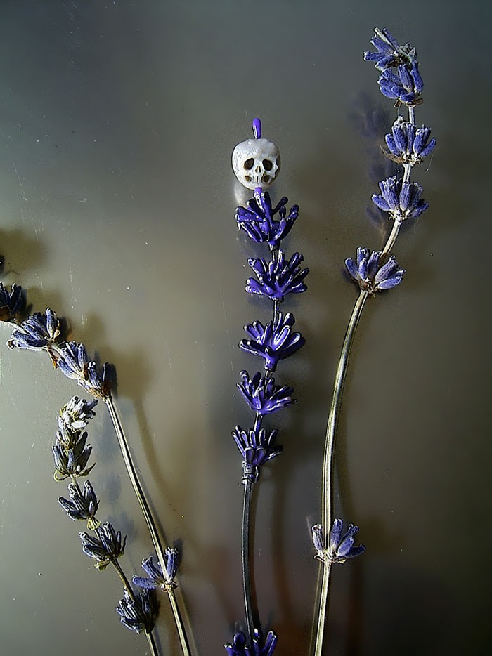 Shinji Nakaba perla calavera5